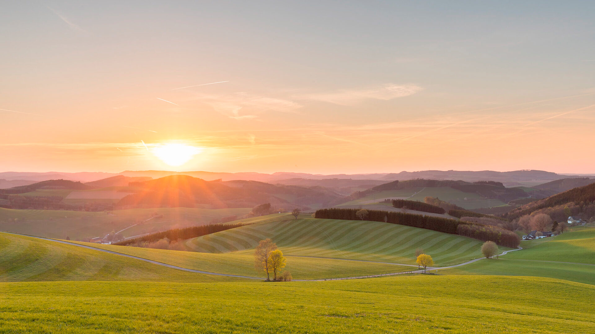 Naturschutzverein Mitten im Sauerland e.V.